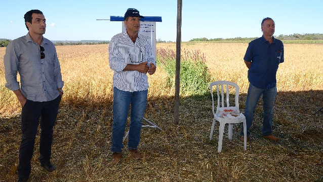 Sindtrigo promove Dia de Campo em Silvânia