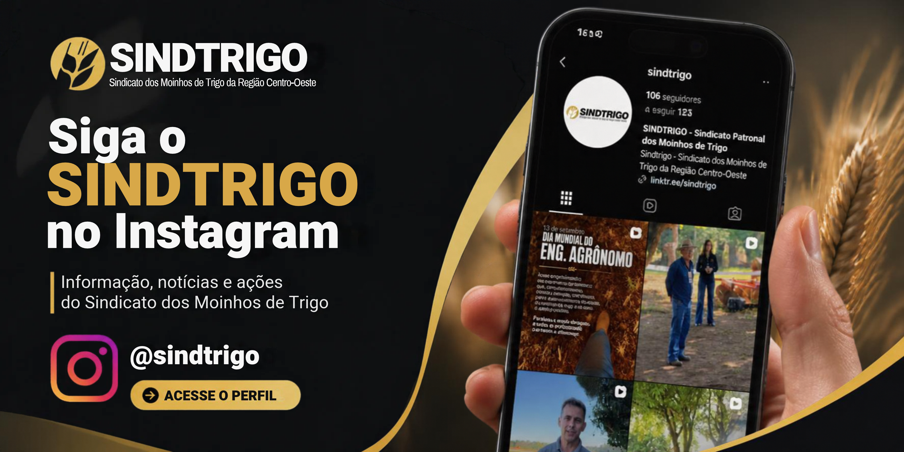 instasinditrigo